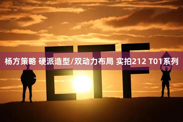 杨方策略 硬派造型/双动力布局 实拍212 T01系列