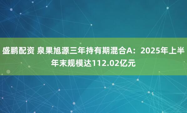 盛鹏配资 泉果旭源三年持有期混合A：2025年上半年末规模达112.02亿元